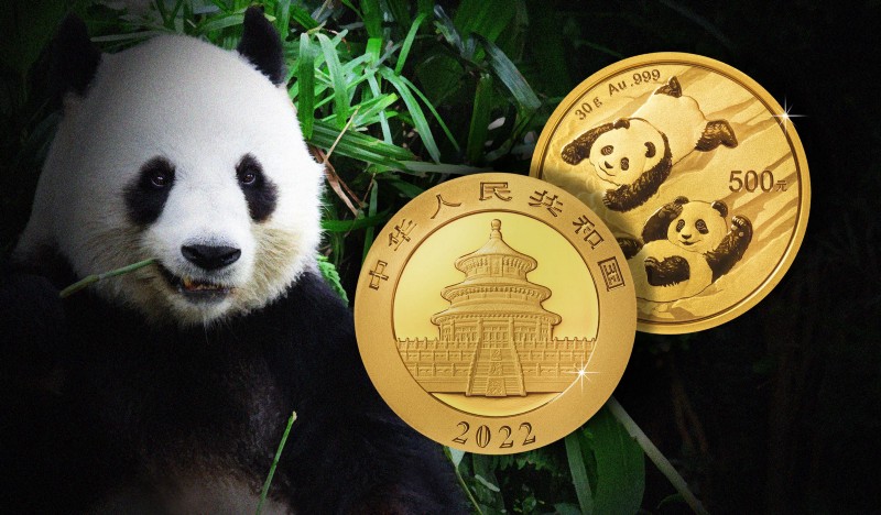 Der China Panda: Ein Investment-Exot und Sammel-Klassiker wird 40 Jahre alt