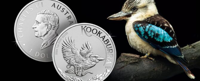 Kookaburra im Jahr 2024: Ein kleiner Vogel kommt ganz gross raus