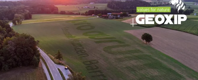 Das pro aurum-Logo wird zum blühenden Lebensraum
